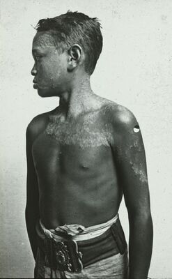 prenten Adlib\P17746.jpg; P17746; ;